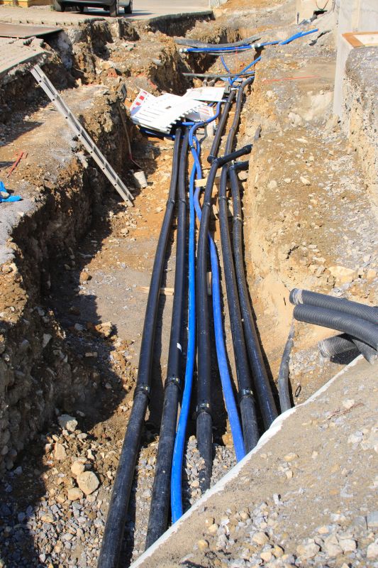 Tree Cabling Cost Overview — Cost of Tree Cabling Service