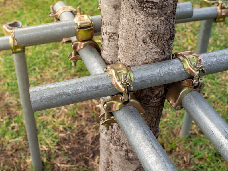 Tree Cabling Cost Overview — Cost of Tree Cabling Service